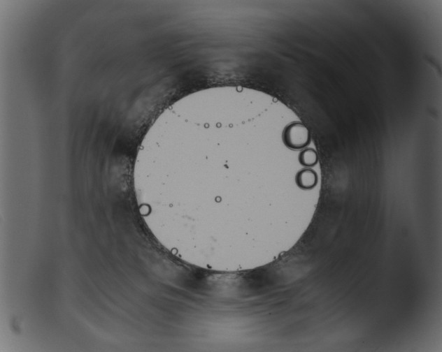 X0000103960133200810101253