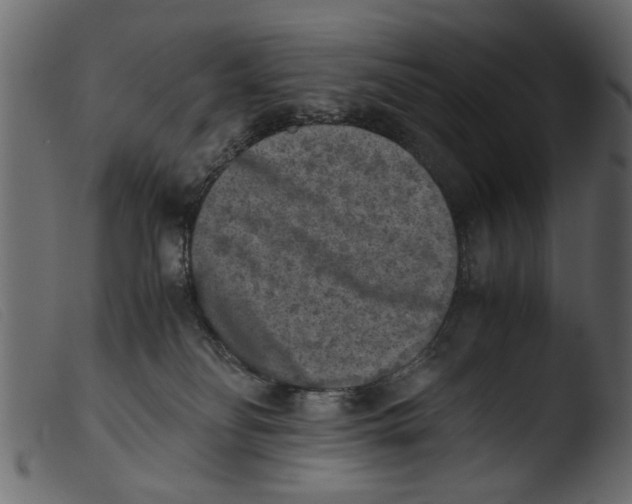 X0000103960134200810101253