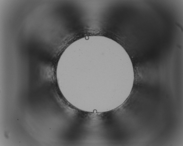 X0000103960136200810101253