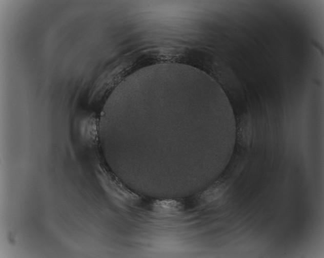 X0000103960137200810101253