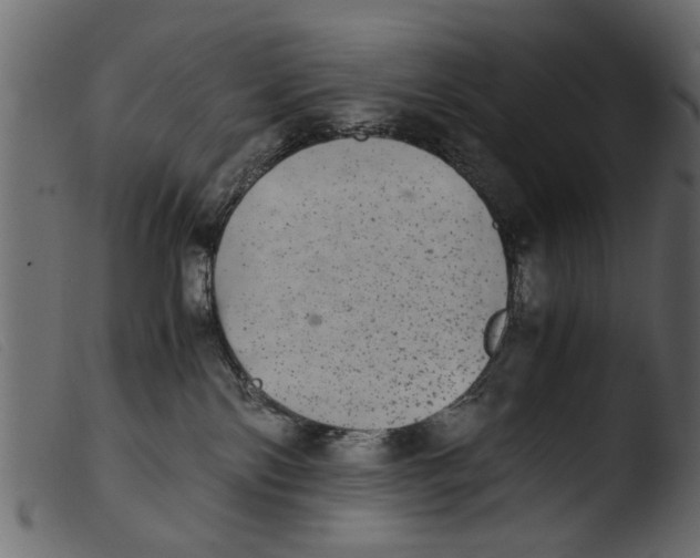 X0000103960138200810101253