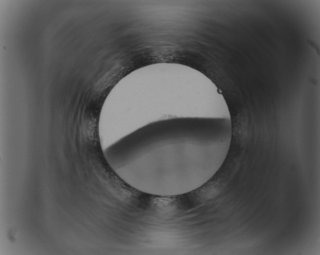 X0000103960139200810101253