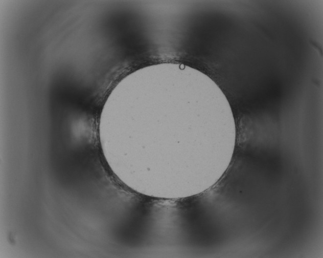 X0000103960140200810101253