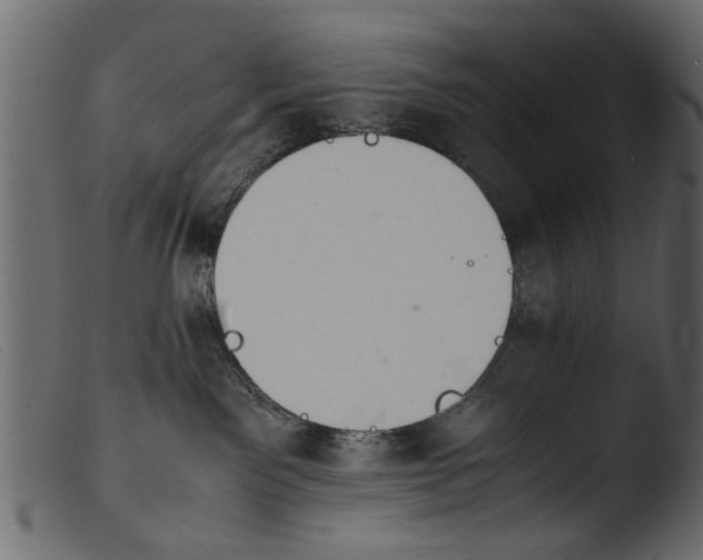 X0000103960141200810101253