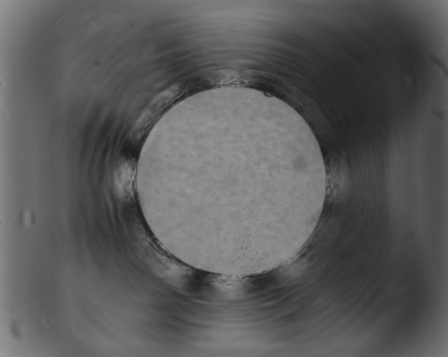 X0000103960142200810101253