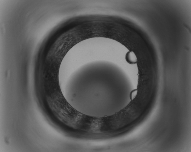 X0000103960143200810101253