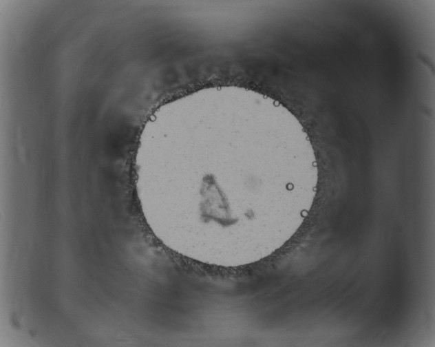 X0000103960144200810101253