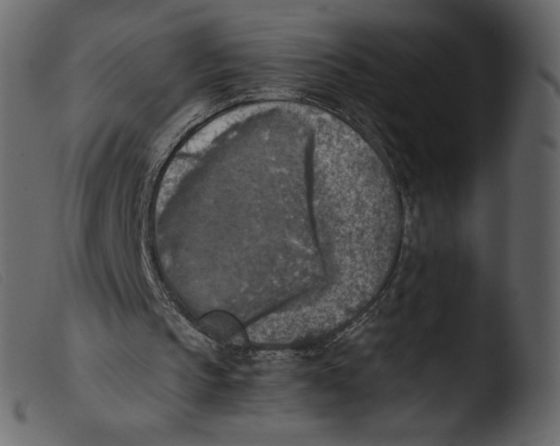 X0000103960145200810101252