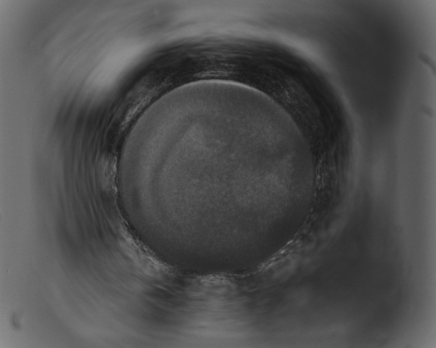 X0000103960146200810101252