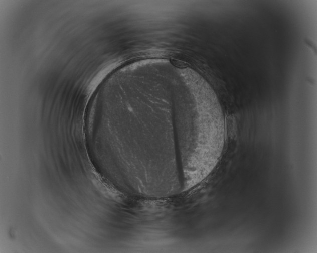 X0000103960147200810101252