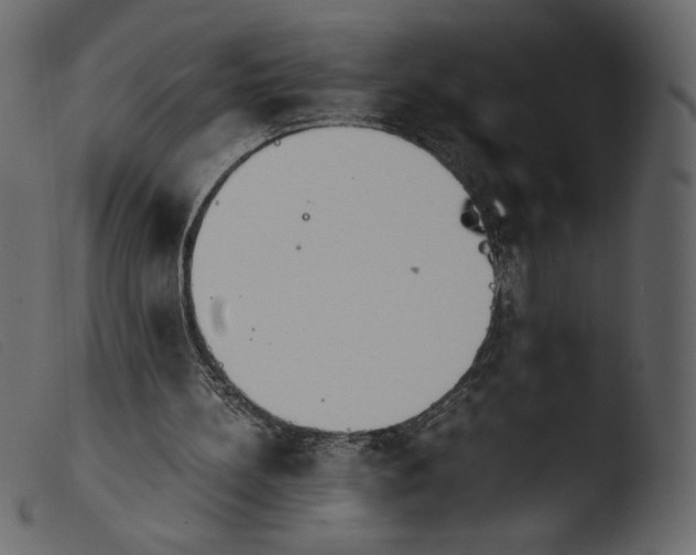 X0000103960148200810101252