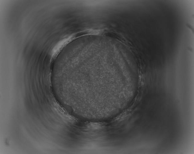 X0000103960149200810101252