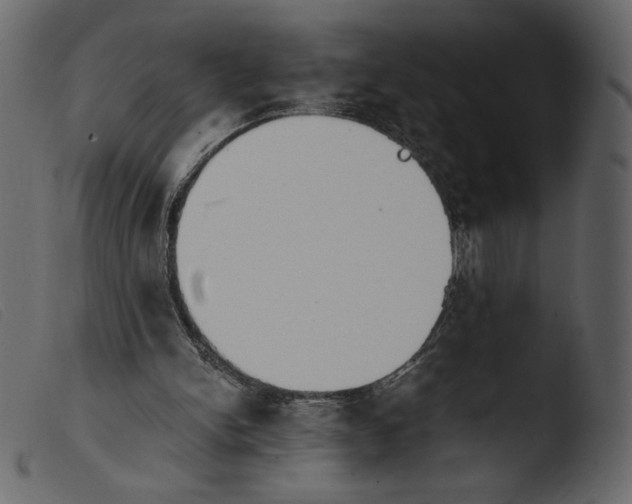 X0000103960150200810101252