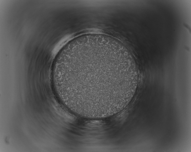 X0000103960151200810101252