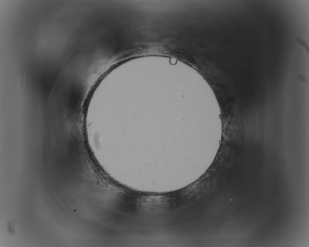 X0000103960152200810101252