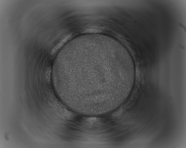 X0000103960153200810101252