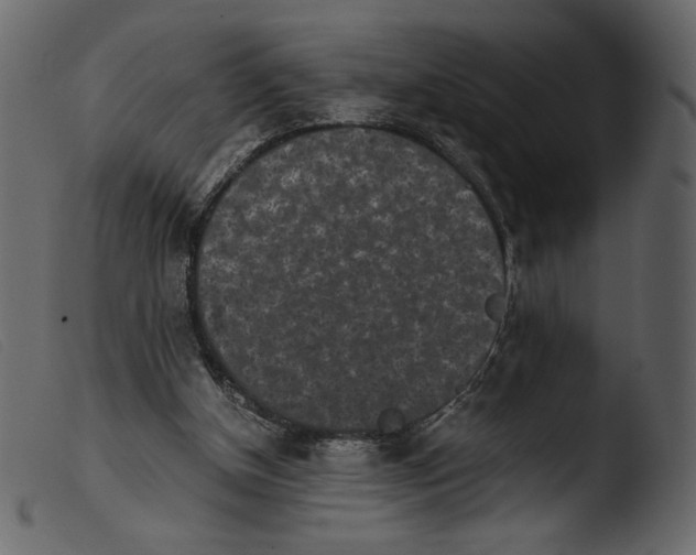 X0000103960154200810101252