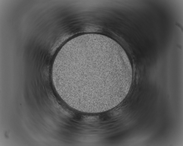 X0000103960155200810101252