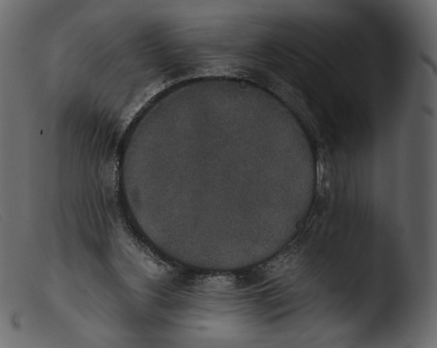 X0000103960156200810101252