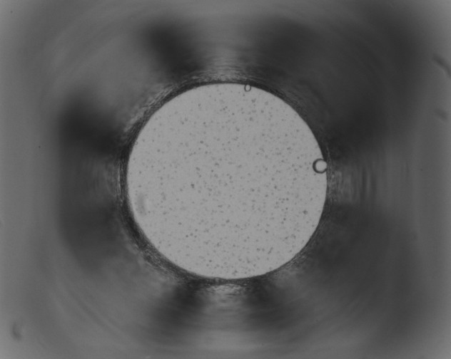 X0000103960158200810101252