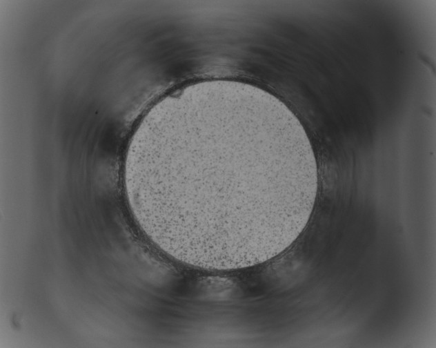 X0000103960159200810101252