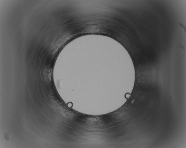 X0000103960160200810101252