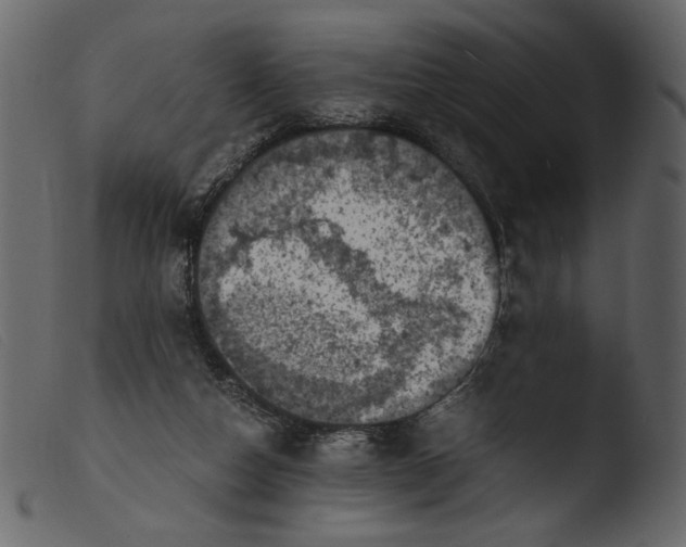 X0000103960162200810101252