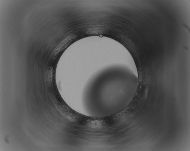 X0000103960163200810101252