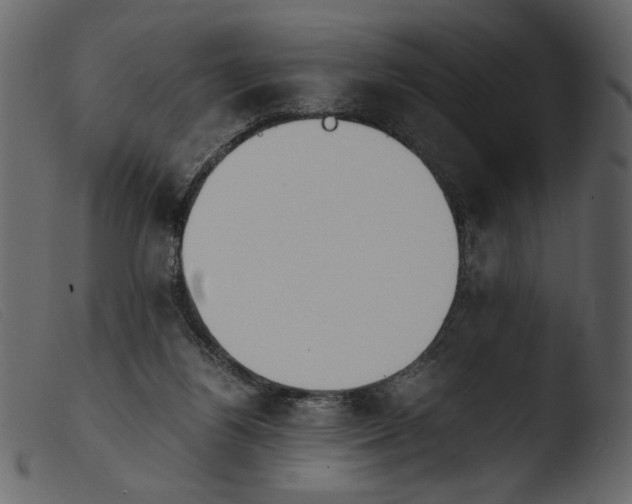 X0000103960164200810101252