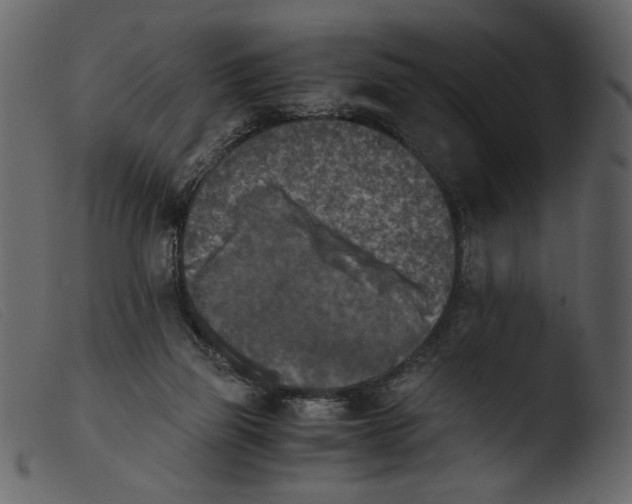 X0000103960165200810101252