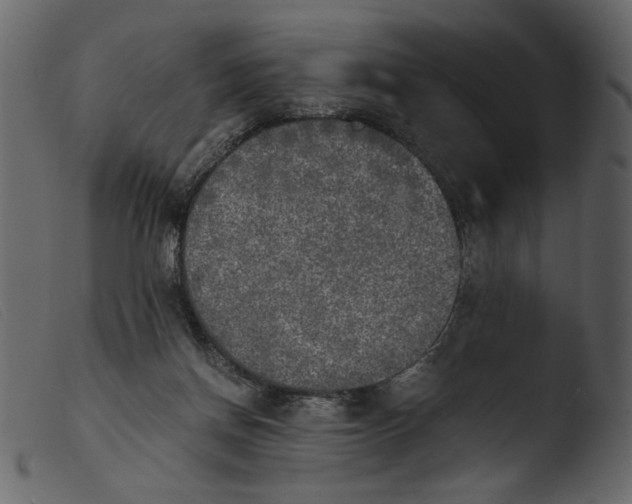 X0000103960166200810101252