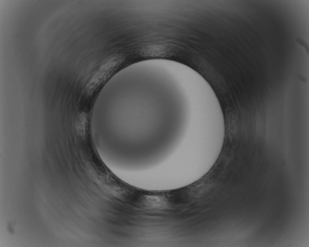 X0000103960167200810101252