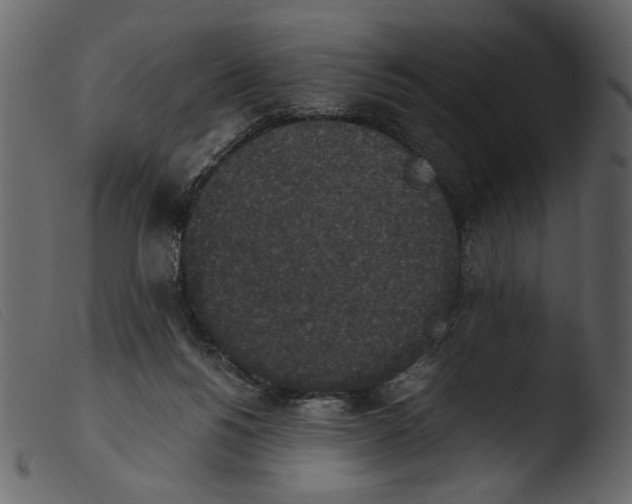 X0000103960168200810101252