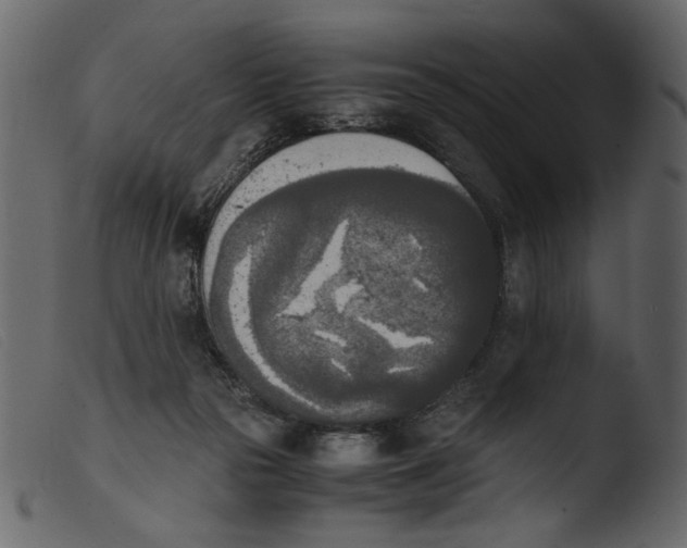 X0000103960169200810101252