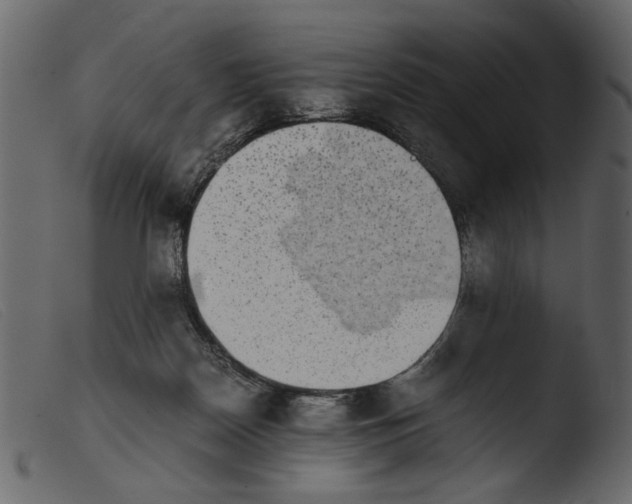 X0000103960170200810101252