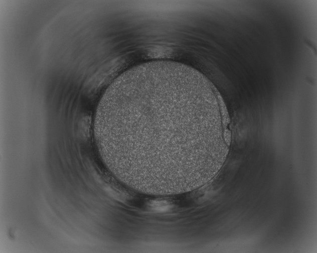 X0000103960171200810101252