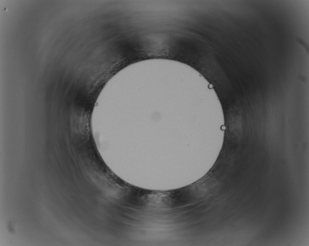 X0000103960172200810101252