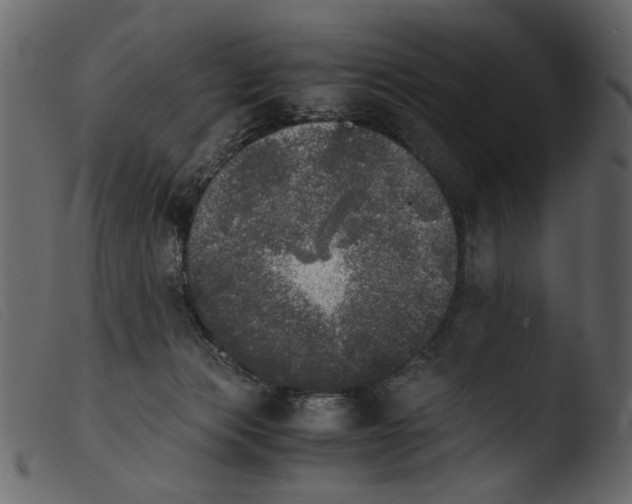 X0000103960173200810101252