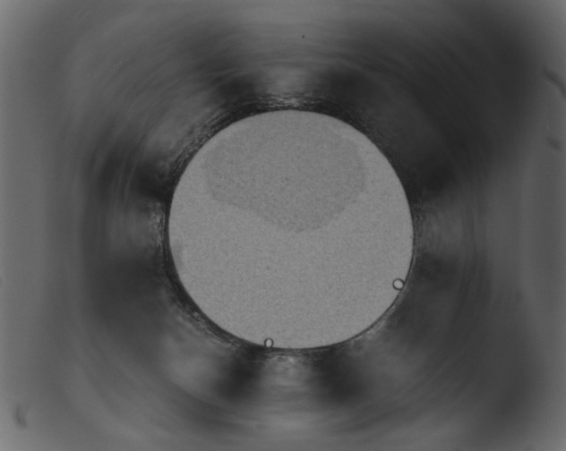 X0000103960174200810101252