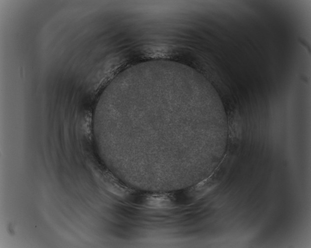 X0000103960175200810101252