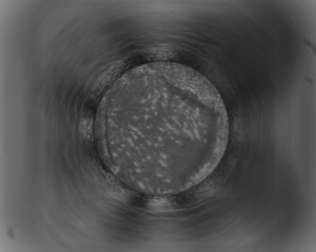 X0000103960177200810101253