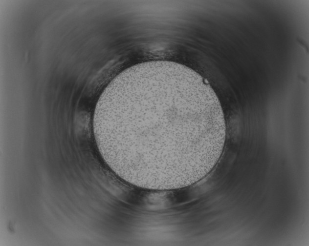 X0000103960178200810101253