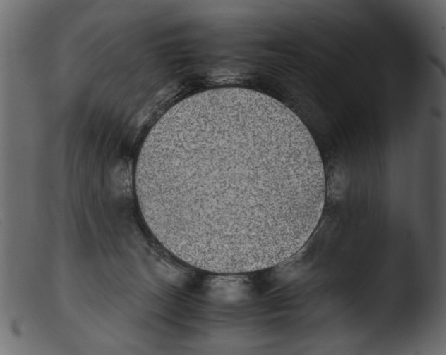 X0000103960179200810101253