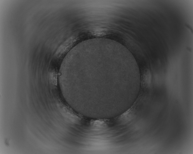 X0000103960180200810101253