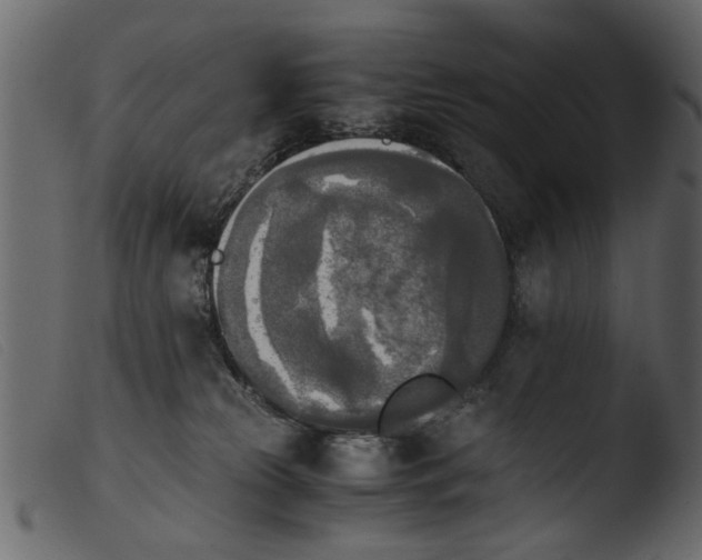 X0000103960181200810101253