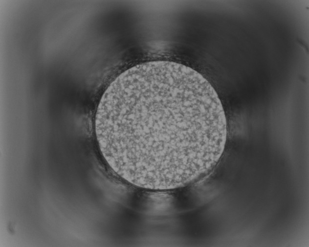 X0000103960183200810101253