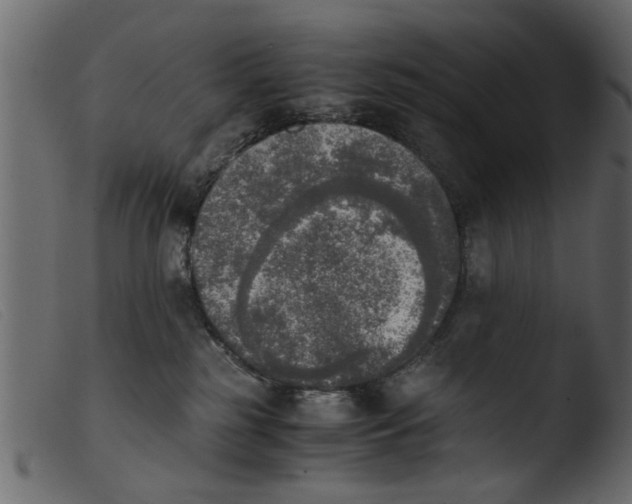 X0000103960185200810101253