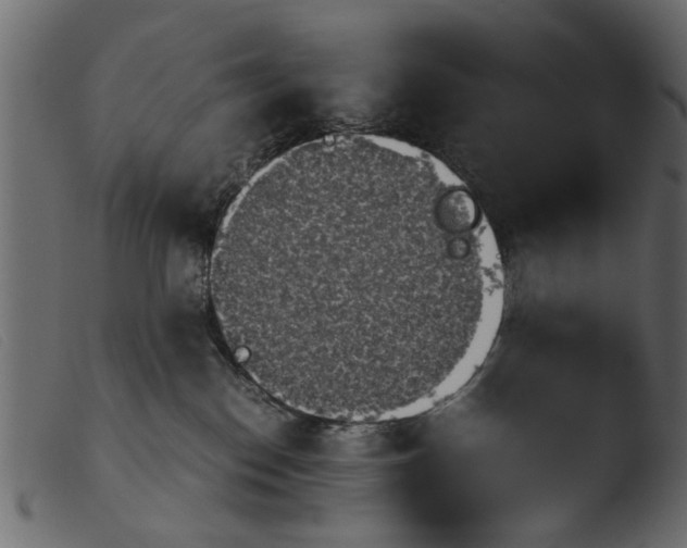 X0000103960186200810101253