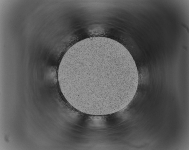 X0000103960187200810101253