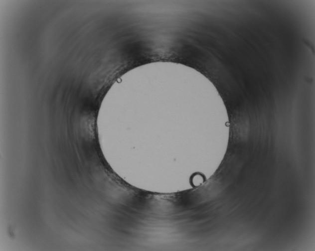 X0000103960188200810101253